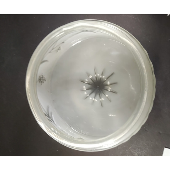 Vintage Light Shade Medallion Frosted Porch Hall Shade Fitter 6" Grapes Vine - Picture 7 of 8